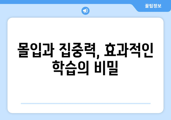 효과적인 학습법으로 자기계발하기